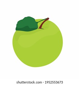 vector green apple on white background
