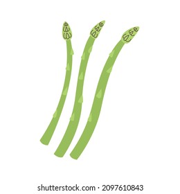 Vector green asparagus hand drawn naive art