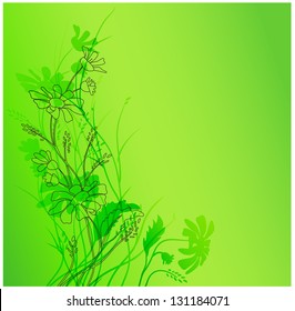 Vector. Green background. Chamomile