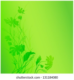 Vector. Green background. Chamomile