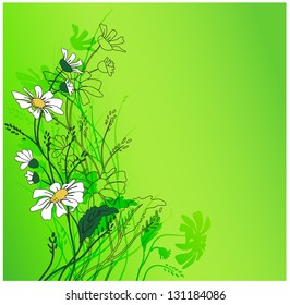 Vector. Green background. Chamomile
