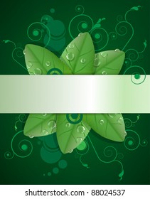 Vector green background with drop on leaves