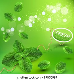 vector green background with fresh mint leaves