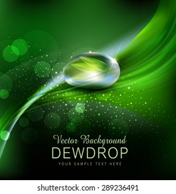 Vector green background with leaves and dew drops on the dark background