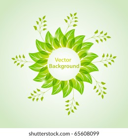 Vector green background with leaves. No transparency