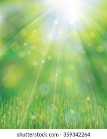 Vector green background with rays, lights and grass border.