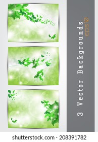 Vector green background set with leaves and space for your text (EPS10 Vector)