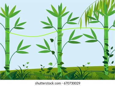 Vector green bamboo plants illustration background