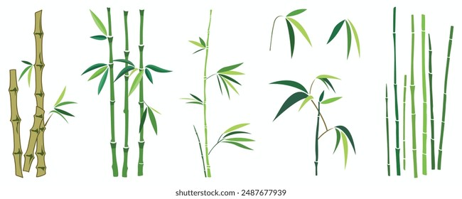 Vector green bamboo stalks and leaves, ideal for decorating nature-inspired and asian-themed designs