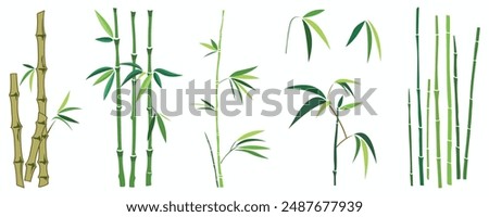 Vector green bamboo stalks and leaves, ideal for decorating nature-inspired and asian-themed designs