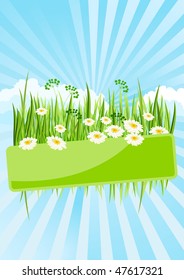 Vector green banner with green grass and daisies