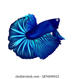 Vector green betta fish on white background. Vector illustration. Mojokerto, December 15th.