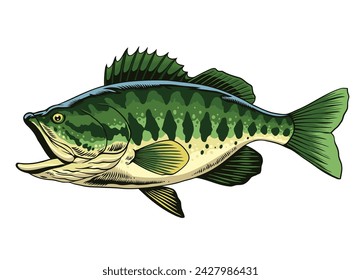 Vector of Green Big Bass Fish