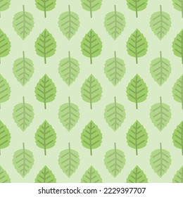 Vector Green Birch leaves repeat pattern background design
