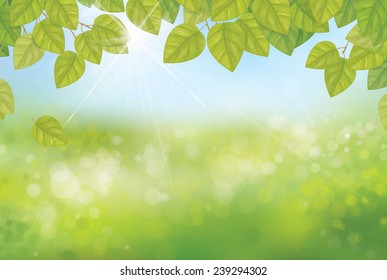 Vector green birch's leaves on spring, bokeh background.