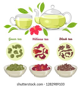 Vector green, black and hibiscus tea. Different types of tea isolated on white. Glass teapot and cup. Fresh and dried leaves. Simple flat style.