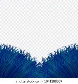 Vector Green and Blue Bush Grass Template,Realistic Style on White Isolated background,Free Space for object,illustration.