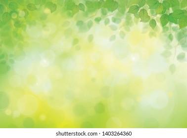 Vector green, bokeh background with green leaves  border.