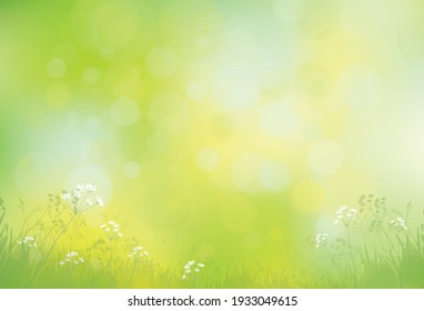 Vector green, bokeh, nature background.