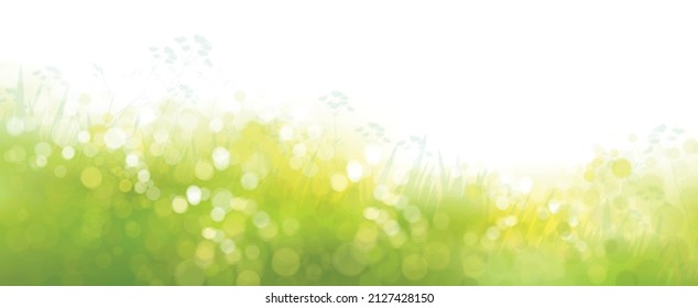 Vector  green, bokeh, nature background. Summer landscape blurred effect.