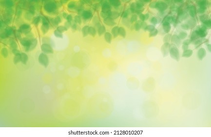 Vector green, bokeh, nature background. Green leaves border. Blurred effect.