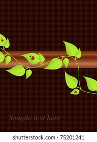 vector green branch on lozenge backdrop