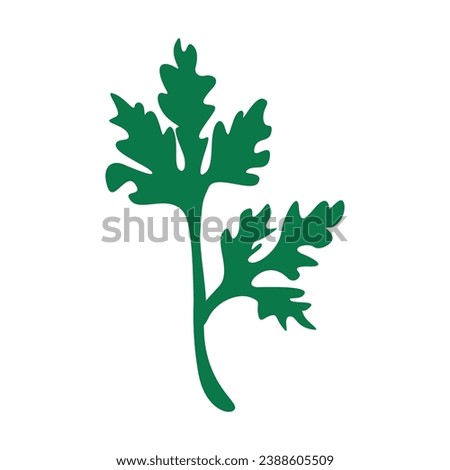 Vector green bunch of parsley isolated on white background.