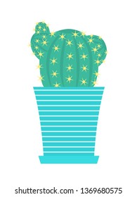 Vector green cacti with flowers in flowerpot. Isolated on white background. Cartoon flat style