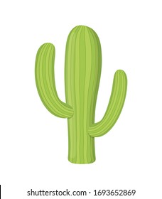 Vector green cactus - desert tropical plant. Wild succulent in cartoon flat style.