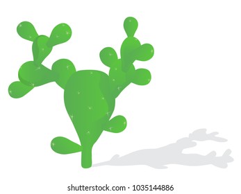 Vector green cactus plant. Succulent illustration. Mexico cartoon nature isolated. 
