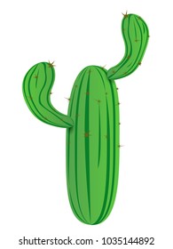 Vector green cactus plant. Succulent illustration. Mexico cartoon nature isolated. 