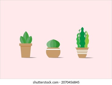 Vector green cactus set.Cute green cactus in flower pots