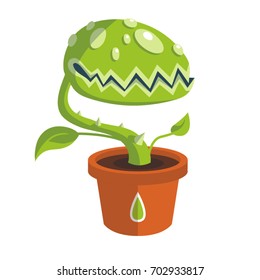 Vector Green Carnivorous Plant With Teeth In Brown Pot