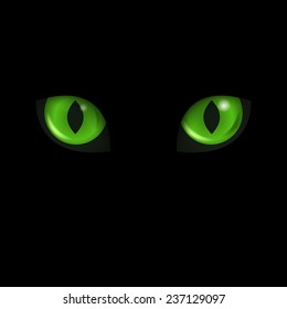 Vector green cat's eyes at the black background.