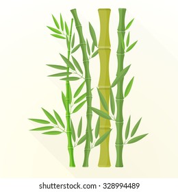 vector green color flat design bamboo plants with leafs illustration isolated light background long shadow