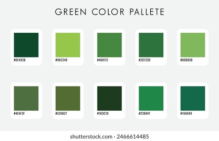 Vector Green Color Pallete Collection