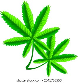 Vector of green colored cannabis leaves are perfect for logos and backgrounds