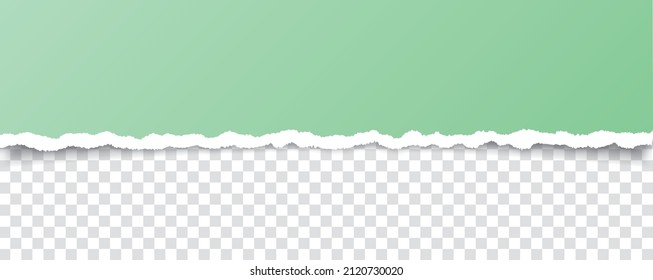 vector green colored torn paper banner with ripped edges with space for your text on transparent background