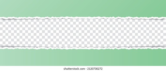 banner de papel roto de color verde vectorial con bordes rotos con espacio para el texto en fondo transparente