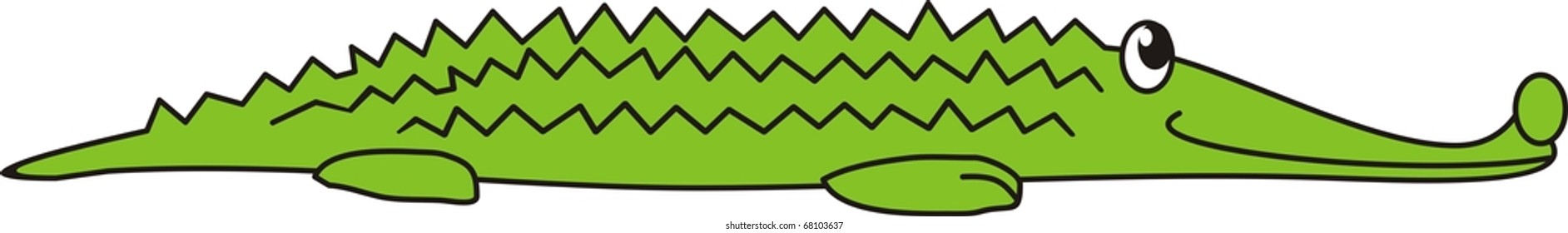 Vector green crocodile - isolated illustration on white background