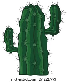 Vector green doodle cactus isolated on white background. Hand-drawn fresh cactus for your design.