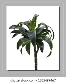 Vektorgrüne Drachen einzeln auf weißem Hintergrund. Helle sonnige Sommer detaillierte und genaue Palmen-Design in dreieckigen Low-Poly-Stil. Blumendesign-Element.