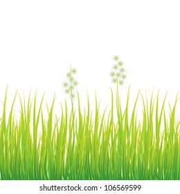 Vector verde eco hierba sin patrón con flor