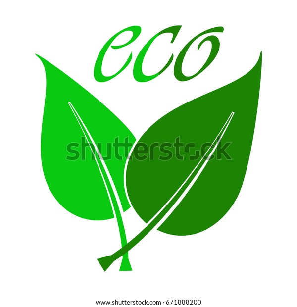 vector green eco\
icon
