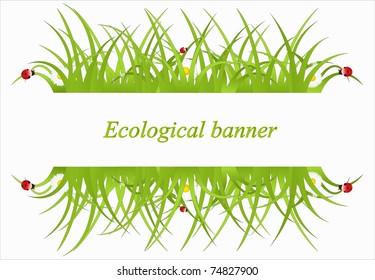 vector green ecological banner