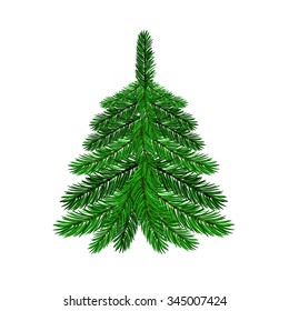 Vector Green Fir Isolated on White Background. Symbol of Christmas