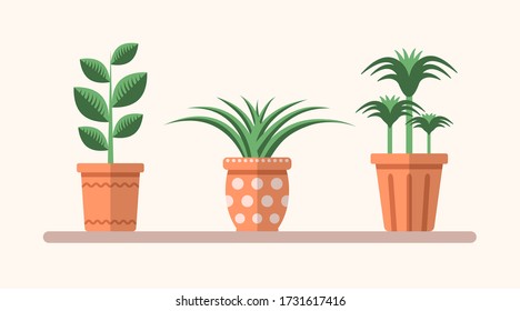 Plantas planas verdes vectoriales en macetas en el estante. Simple ilustración interior plana. Elementos decorativos florales para diseño, juego, conceptos.