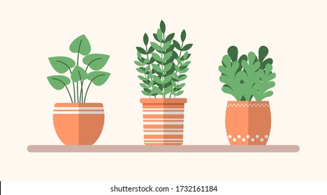 Plantas planas verdes vectoriales en macetas en el estante. Simple ilustración interior. Elementos decorativos florales para diseño, juego, conceptos.