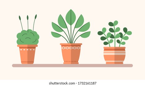 Vector green flat plants in pots on the shelf. Simple interior illustration. Floral decorative elements for design, game, concepts.