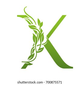 Vector Green Florist Single Letter X Logo